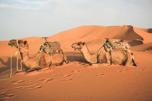 5 Days tours From Marrakech to Merzouga Desert