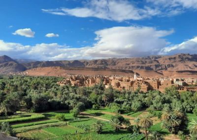 Excursión desde Agadir a Marrakech