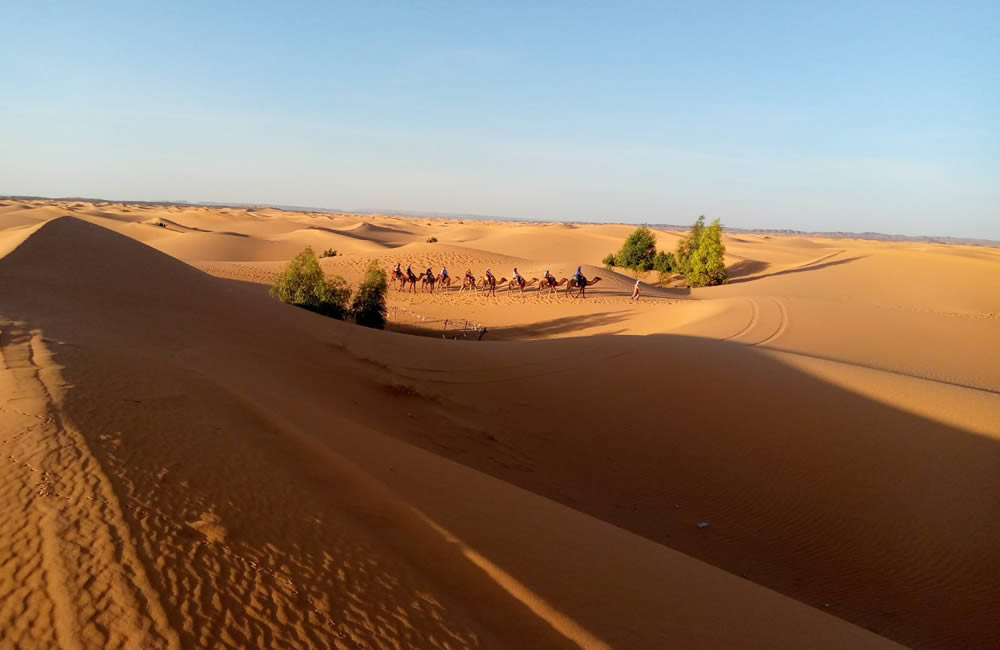 Tour por el desierto de Fez a Marrakech