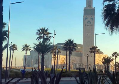 Excursión de Casablanca a Marrakech 10 días